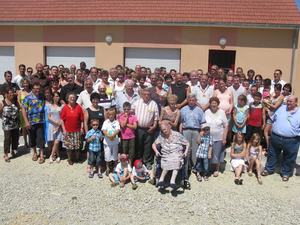 Cousin De La Fourmi Dans Le Travail